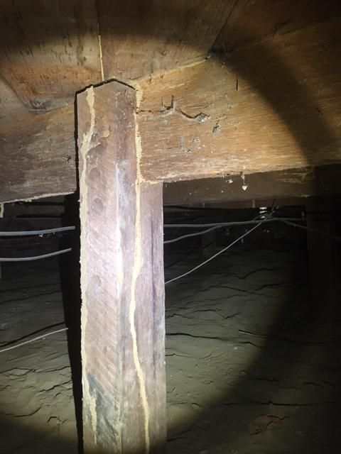 Subterranean Termite mud tubes in the crawl space.