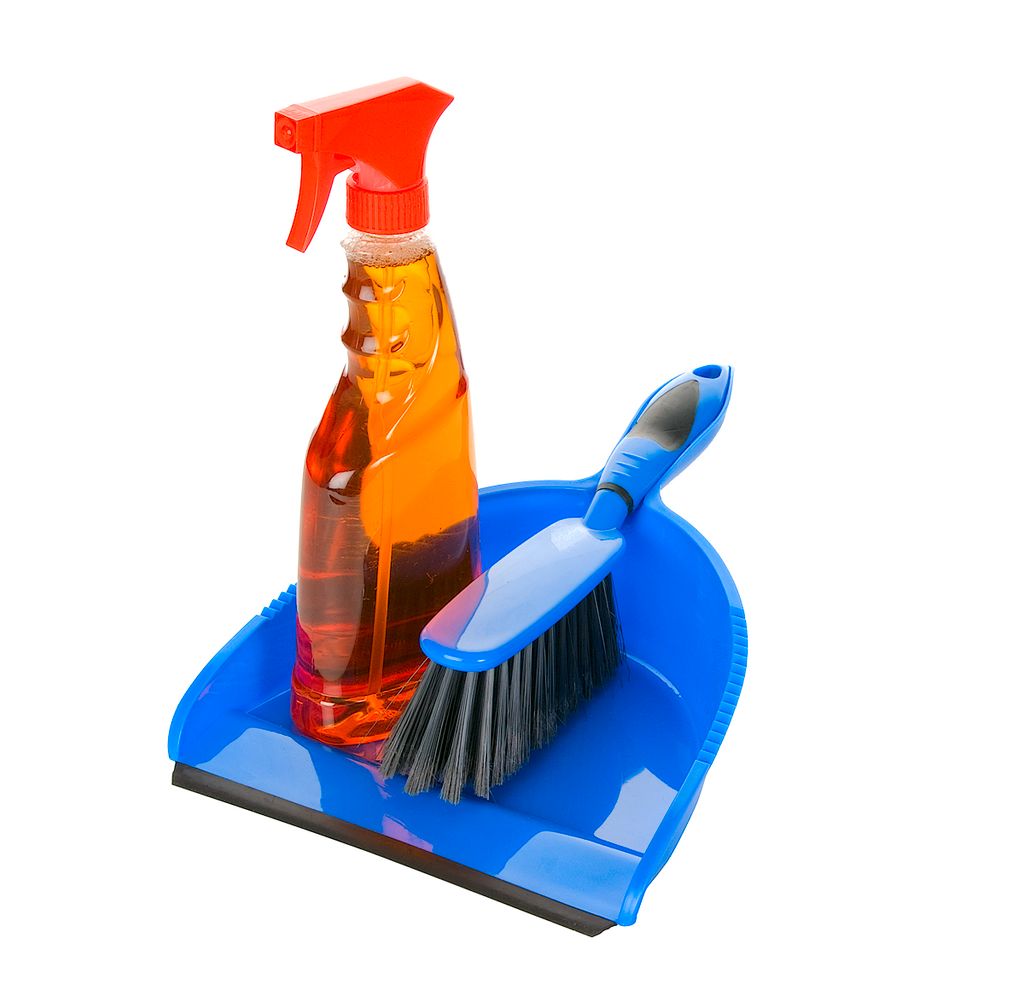Lite Cleaning and Organizing