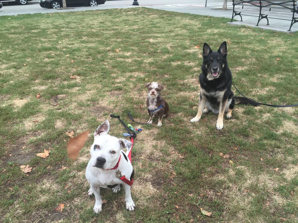 Georgia, Carlos and Max enjoying the cooler day