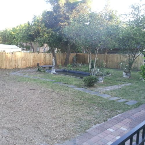 Yard with bamboo and vines cleared and mowed.