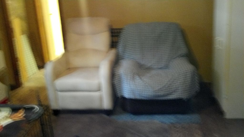 Hangout with the overnight Pets.