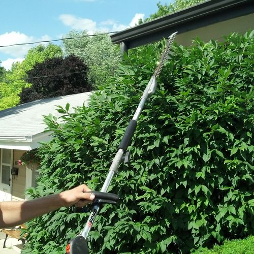 Our services include pruning and trimming hedges, 