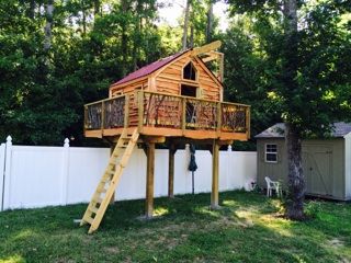 Custom Tree house, we are the masters!
