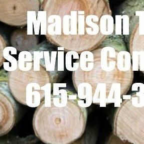 Madison Tree Service Company