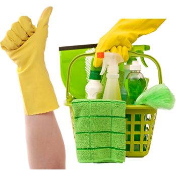 Cleaning Services