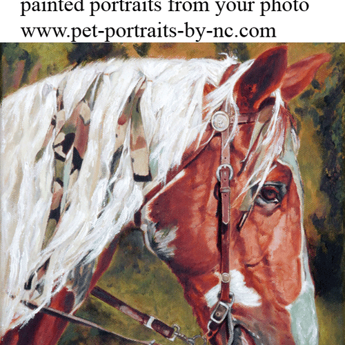Equine Portraits