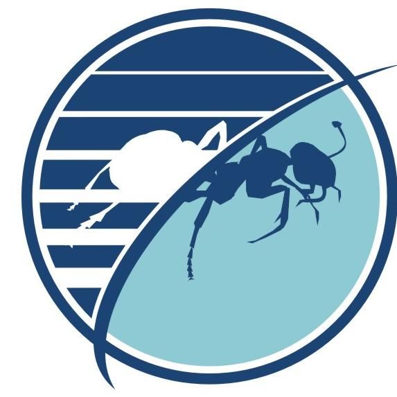 Budget Pest Control, Inc.