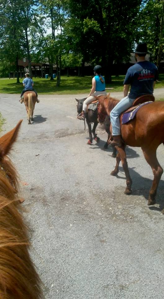 Guided trail rides offered 7 days a week all year 