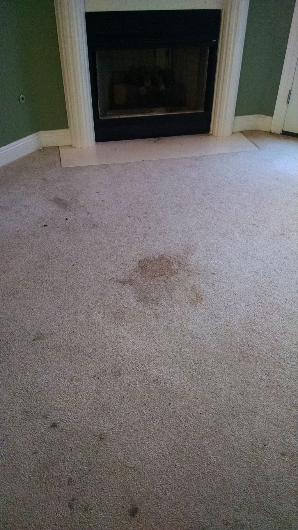 Carpet before