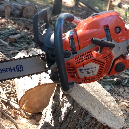 One of our many chainsaws. This one is called "Bal