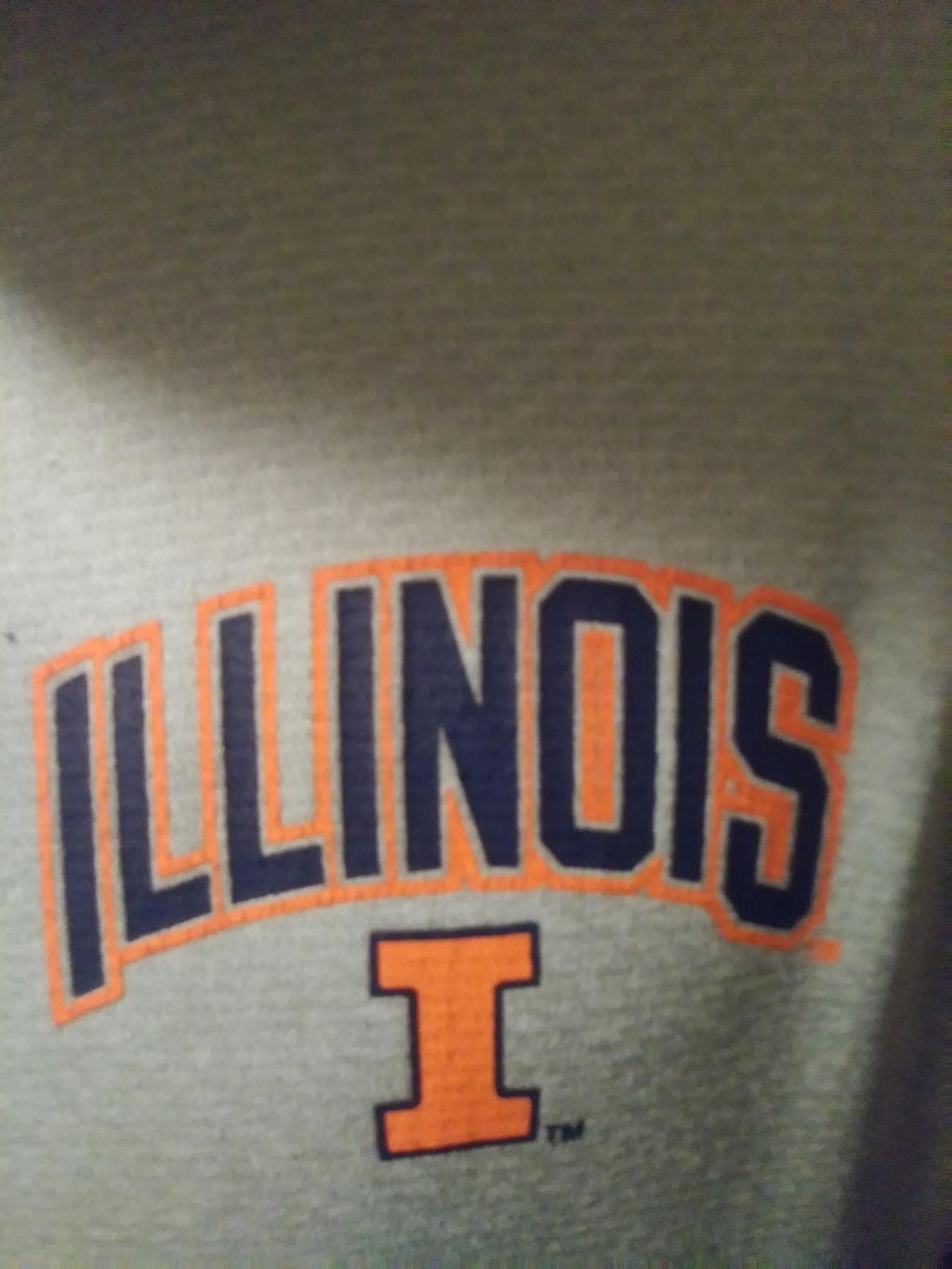 ILLINI CLEANING & PAINTING