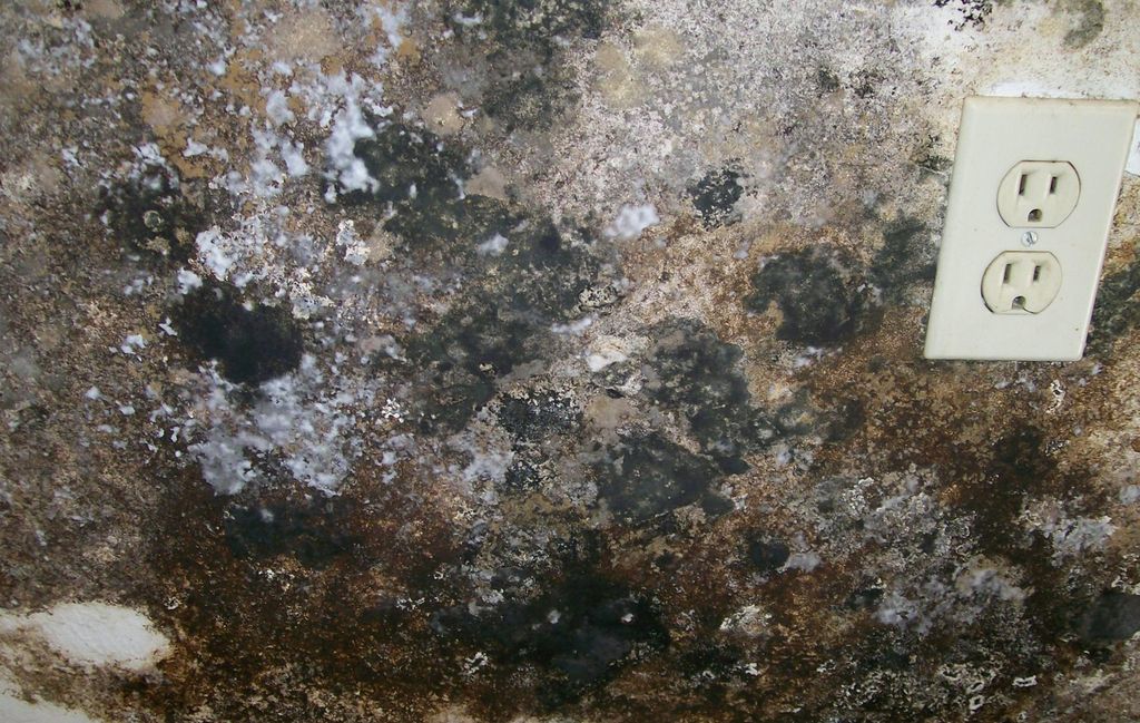 If its a mold problem you have, we have seen it al