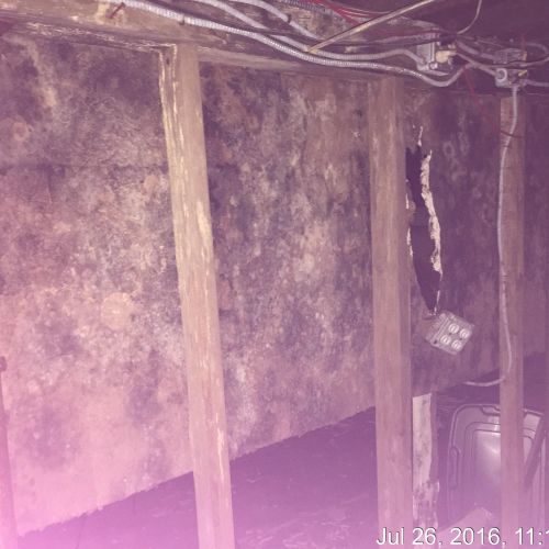 Mold in a basement affected by hurricane Sandy. Th