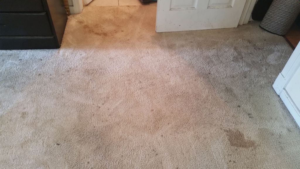 Before photo