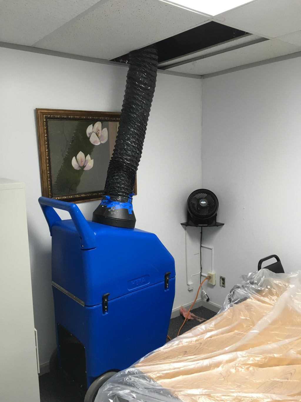 Projects and media