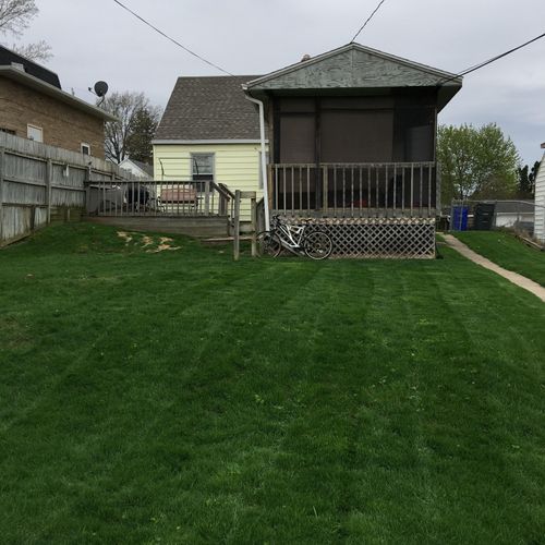 Finished backyard mow with clippings raked and rem