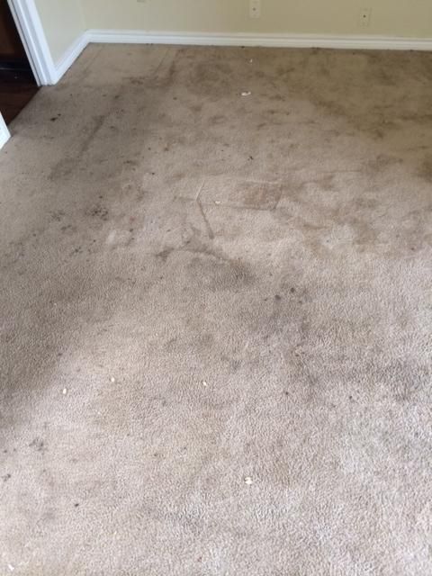 Before Steam Cleaning
