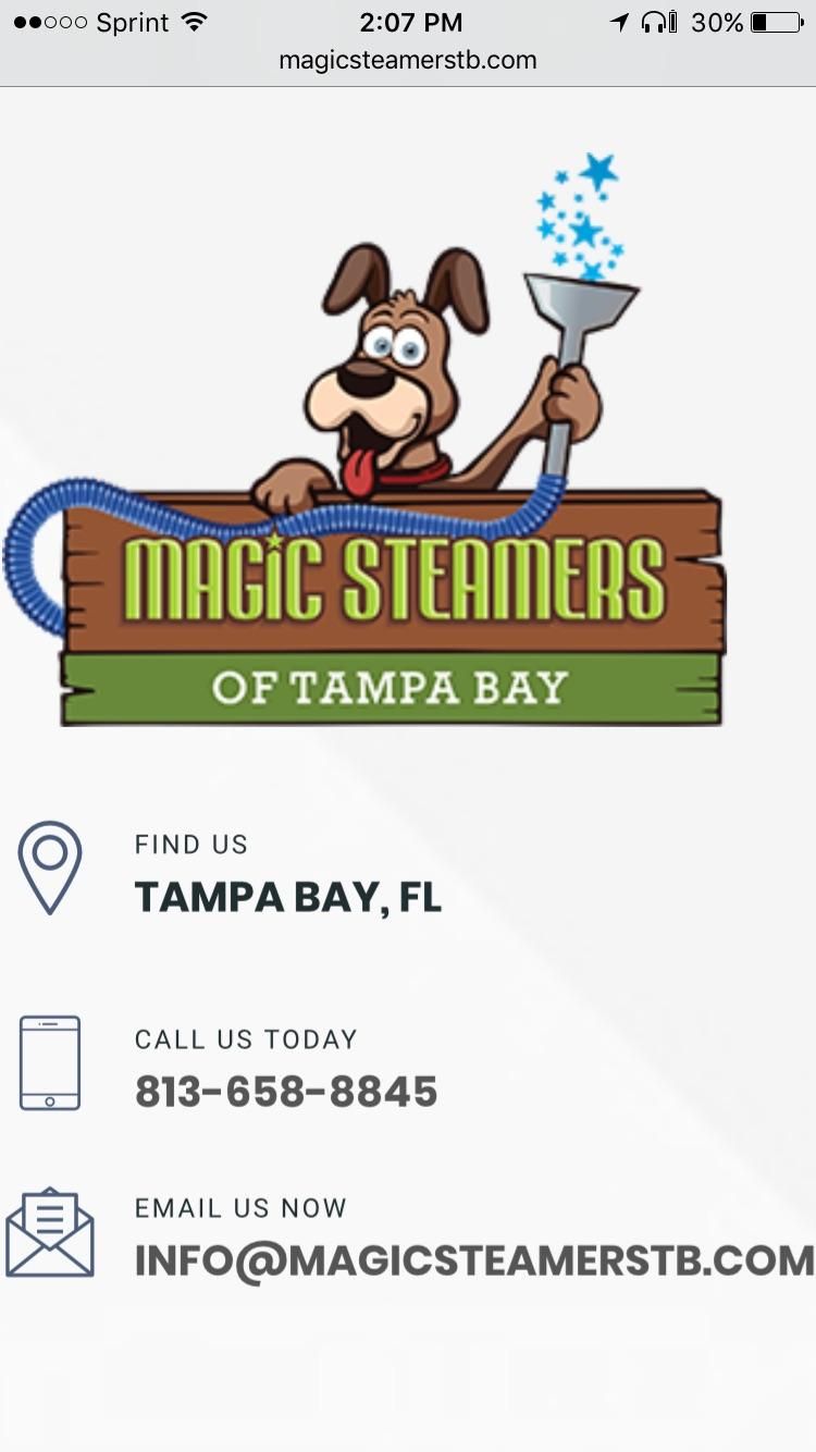 Magic Steamers Of Tampa Bay LLC