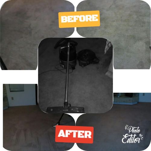 Before and After Pet stain treatment