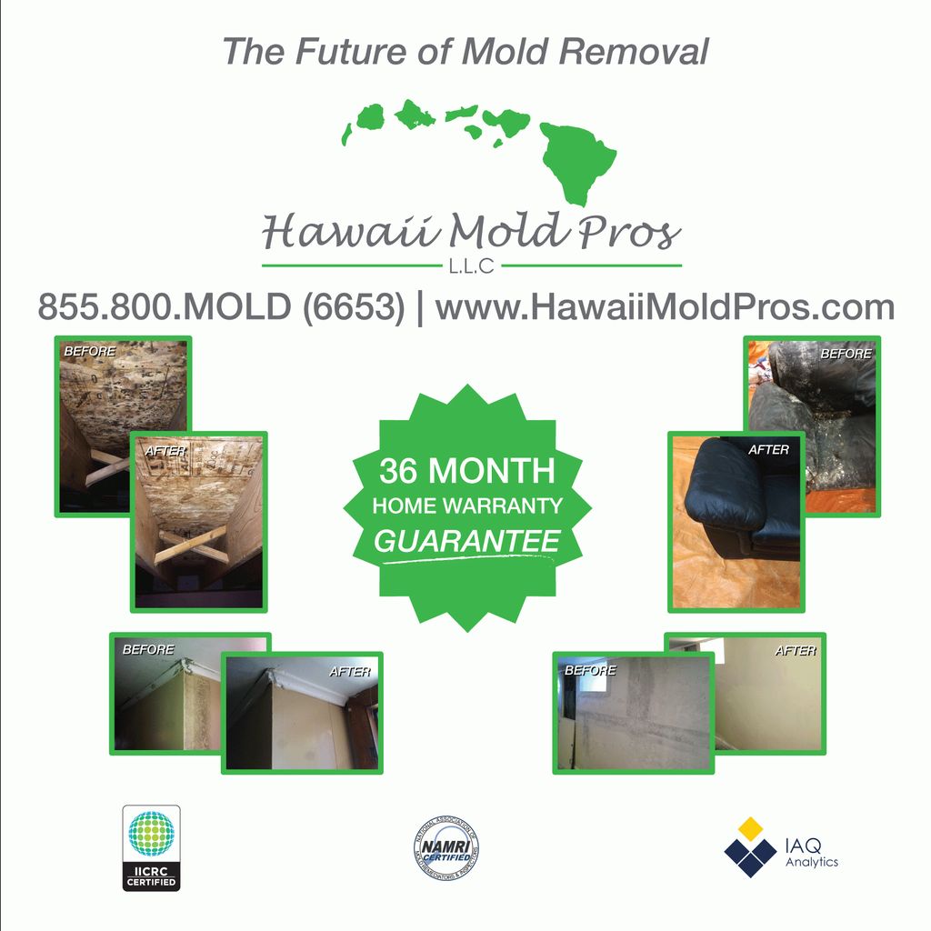 Hawaii Mold Pros L.L.C