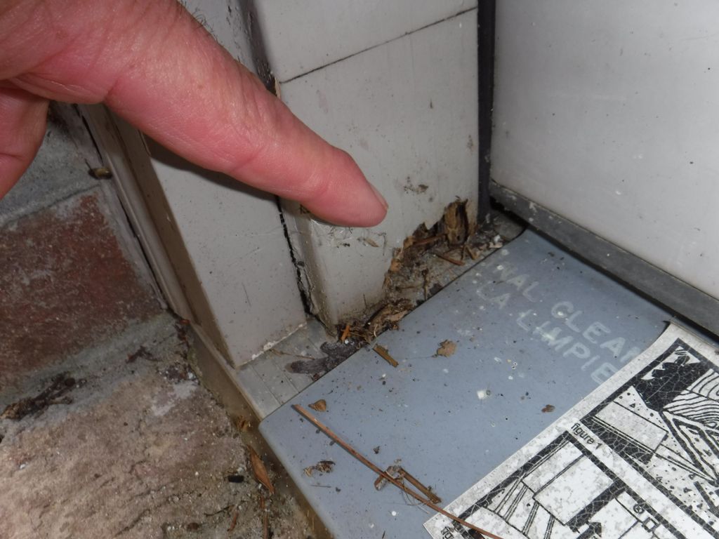 The garage pedestrian door trim has soft and decay