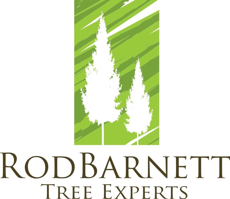 RodBarnett Tree Experts