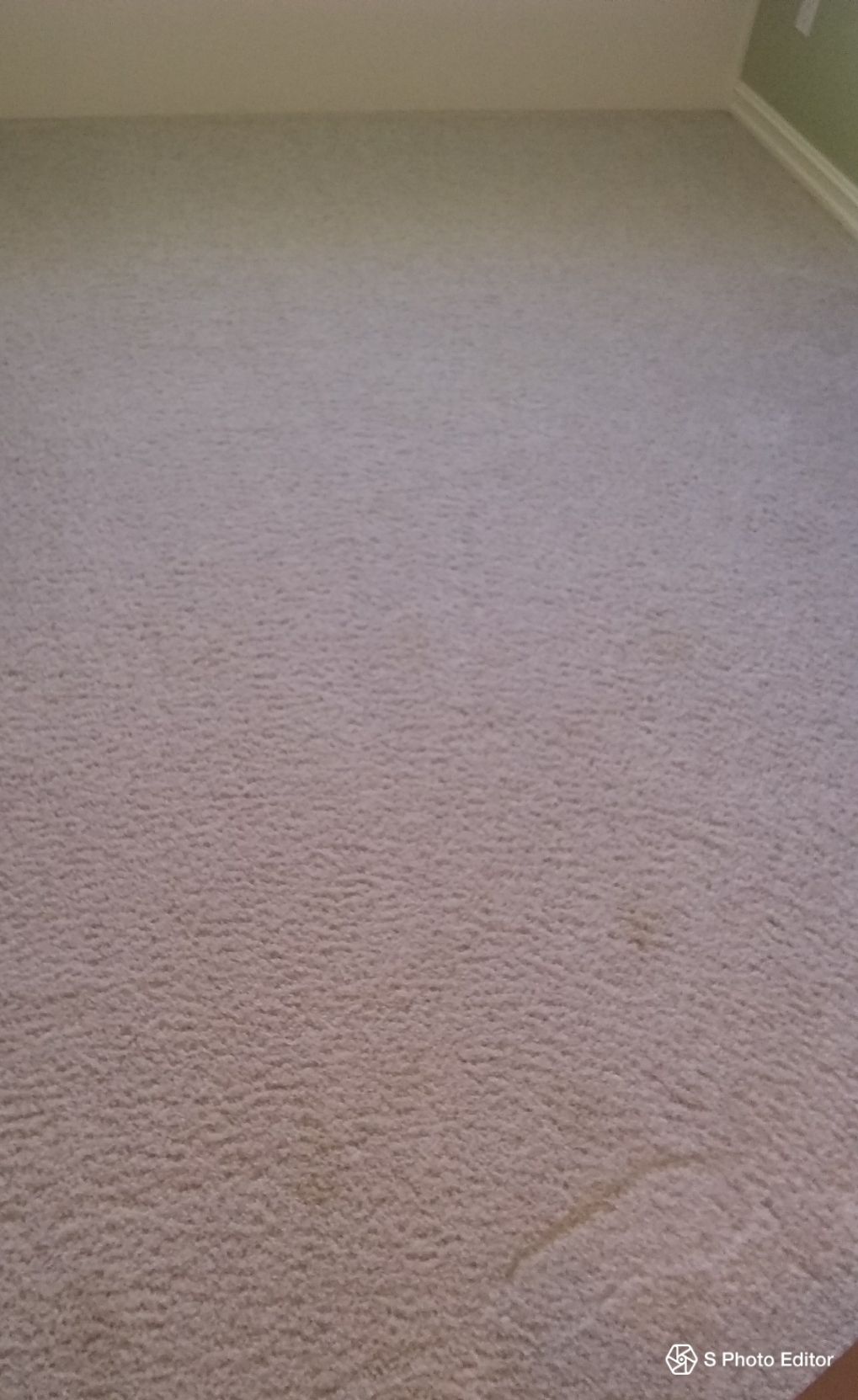 This is after I cleaned the mess the cat left