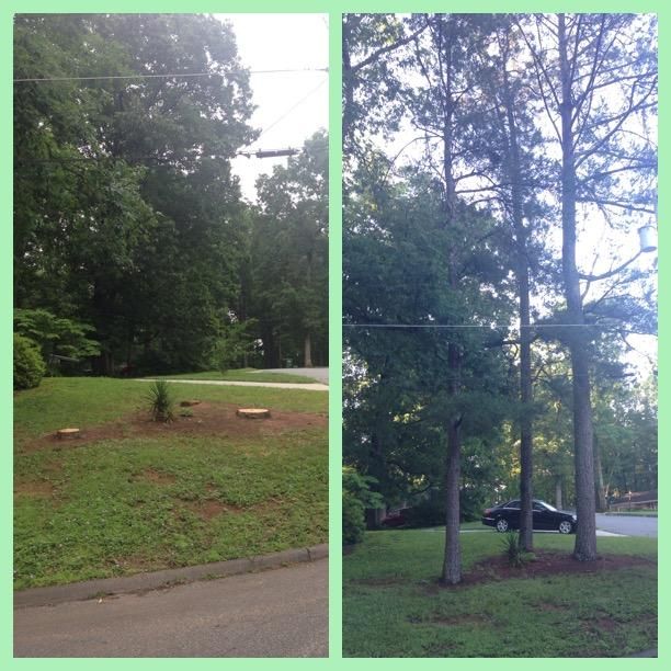 before and after picture!