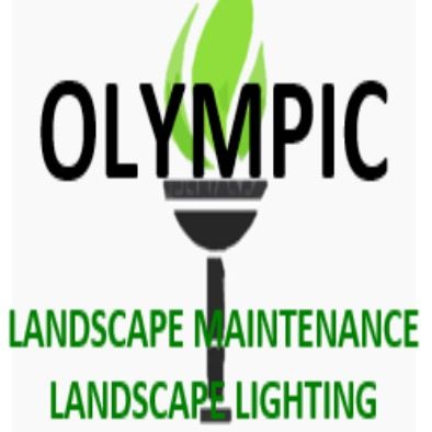 Olympic Landscape Lighting
