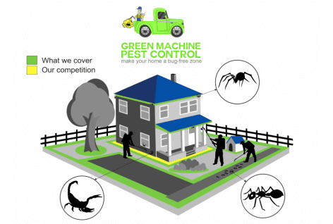Here is what Green Machine Pest Control does EVERY