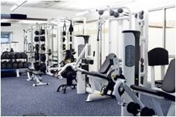 Our gym has all the equipment we need to give you 