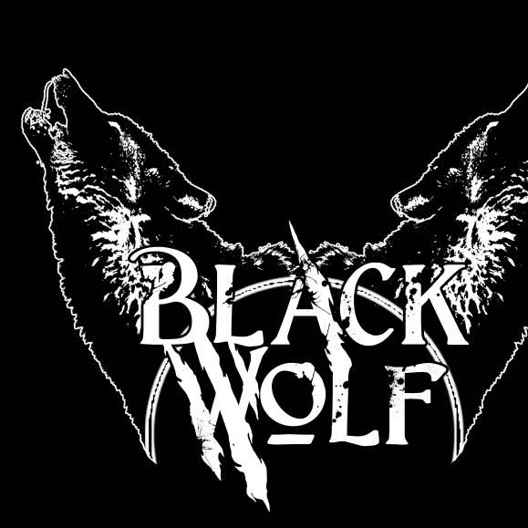 Black Wolf Property Maintenance