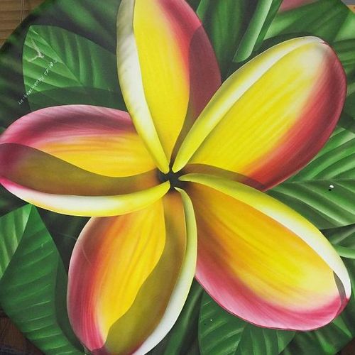 Oil painting of plumeria flower on canvas 4' X 4'