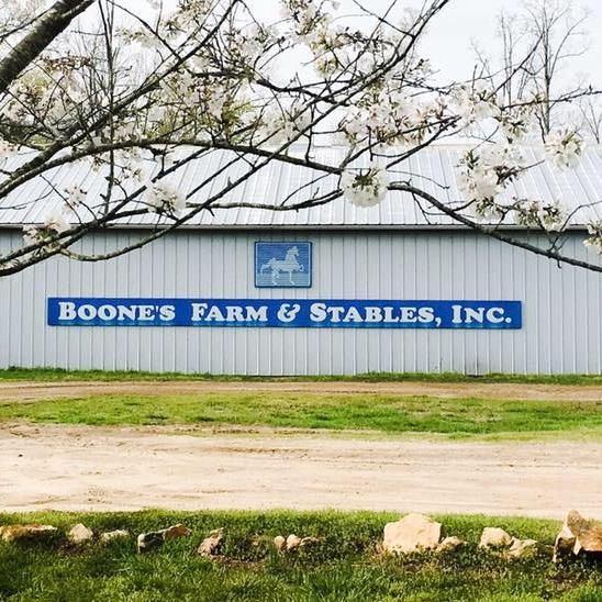Boones Farm & Stables