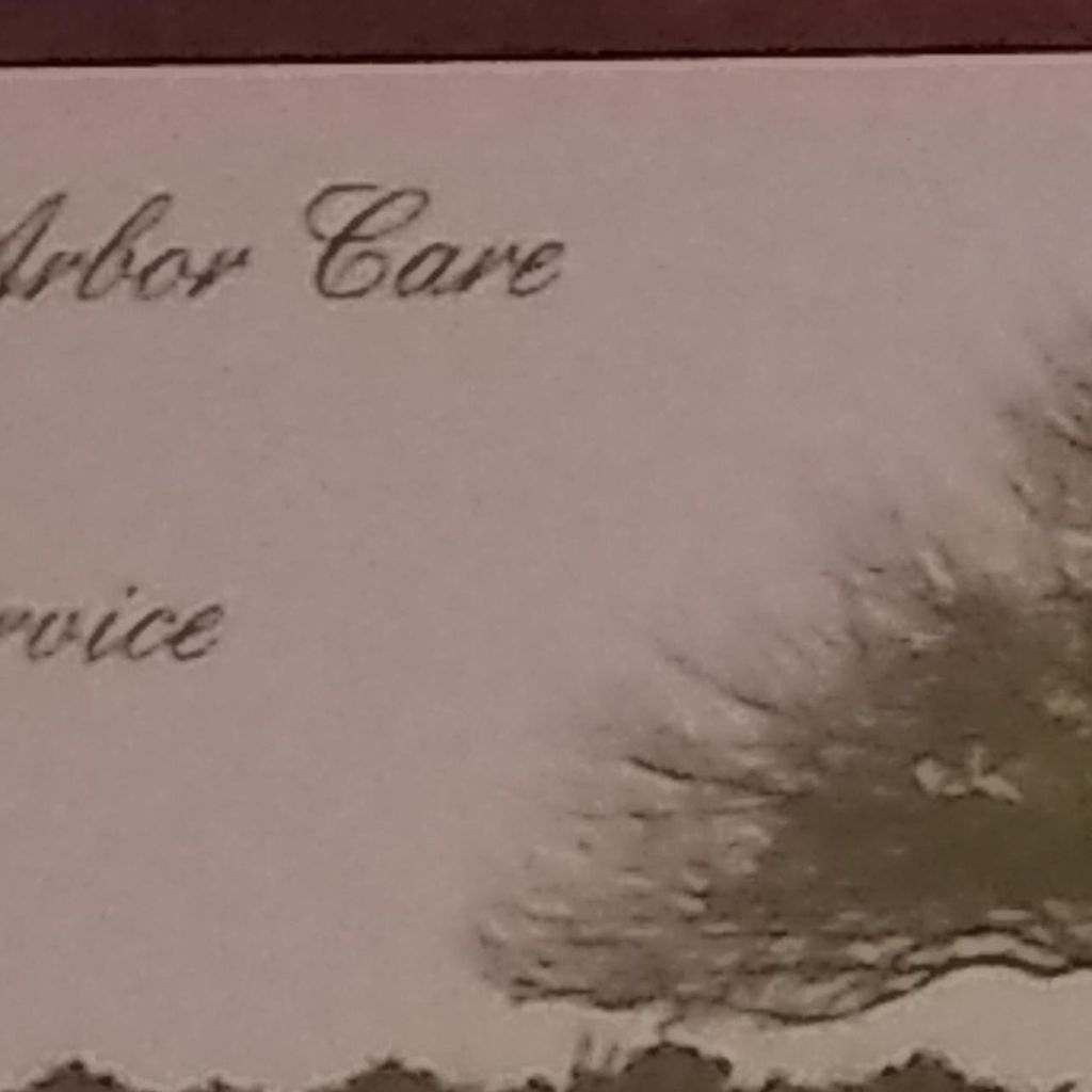 American Arbor Care& Tree Service