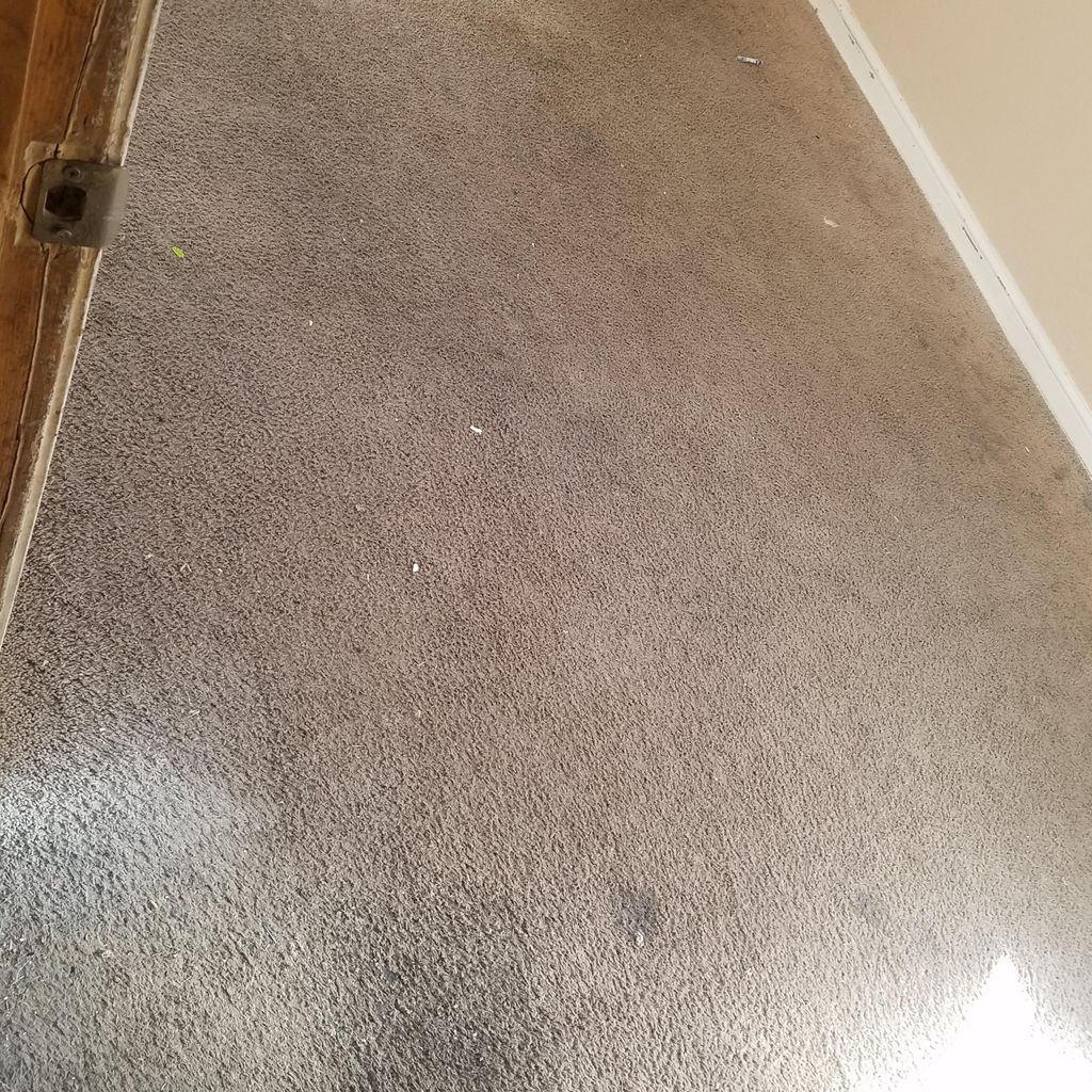 All Star Carpet Cleaning LLC