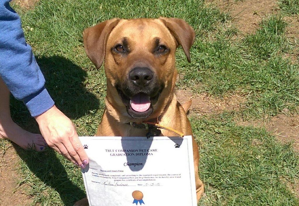 Champ on his graduation day