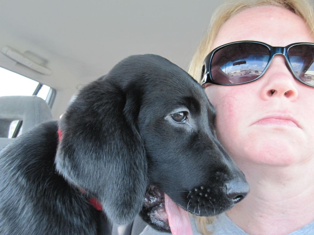 Murphy's first car ride