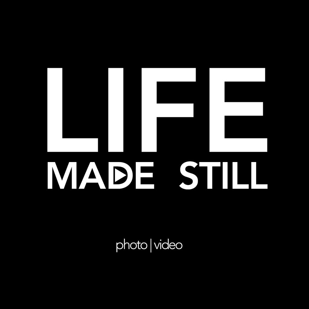 Life Made Still