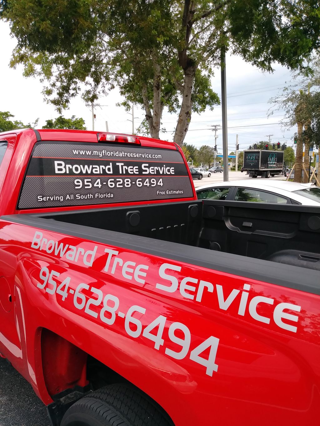 Broward Tree Service