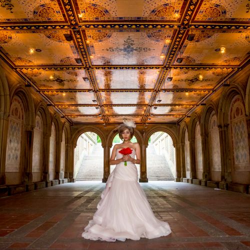 NYC and Surrounding Area: Wedding, Event and Portr