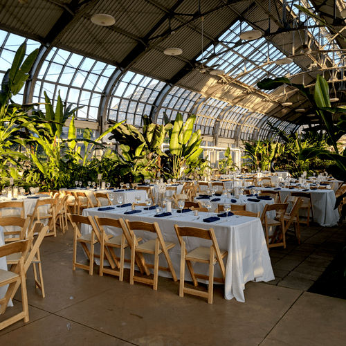 Botanical Conservatory Wedding - Chicago, IL
