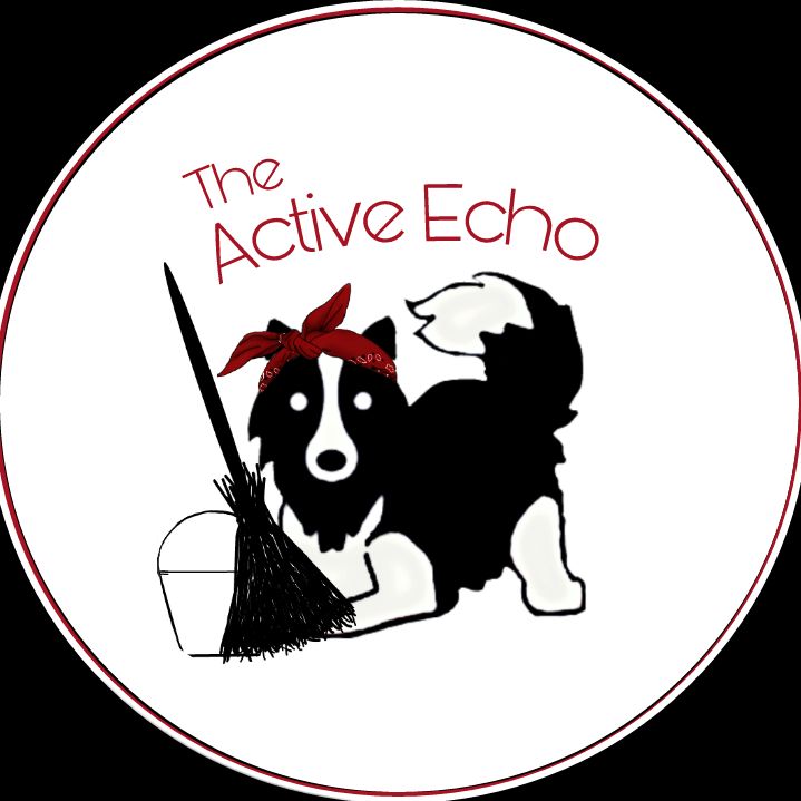 The Active Echo