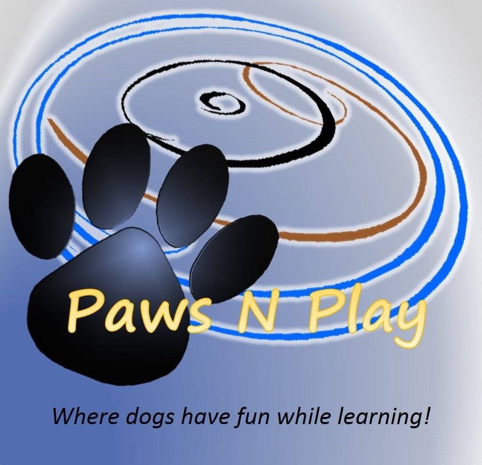 Paws N Play, LLC
