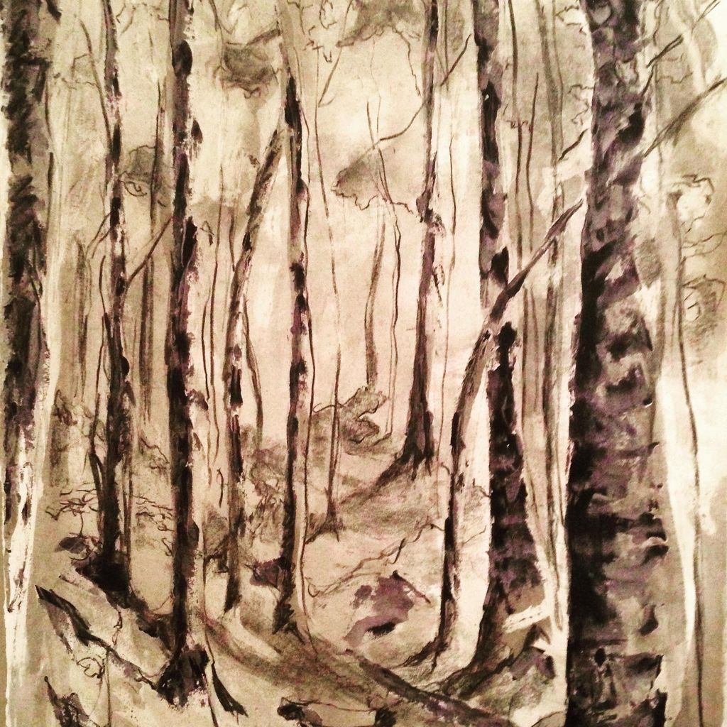 Percy Warner Park, 2017