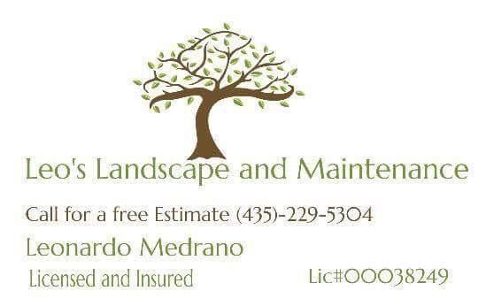 Leo's Landscape & Maintenance