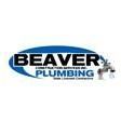 Beaver Construction Services