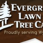Evergreen Lawn and Tree Care