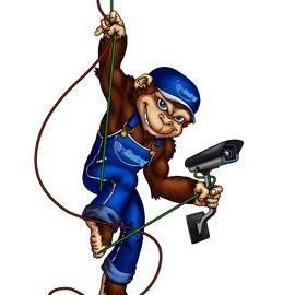 Wire Monkey Inc.