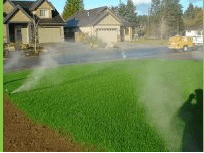Blow-out Sprinklers